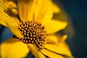 Domestic Violence in a Relationship, Seattle Criminal Defense Attorney